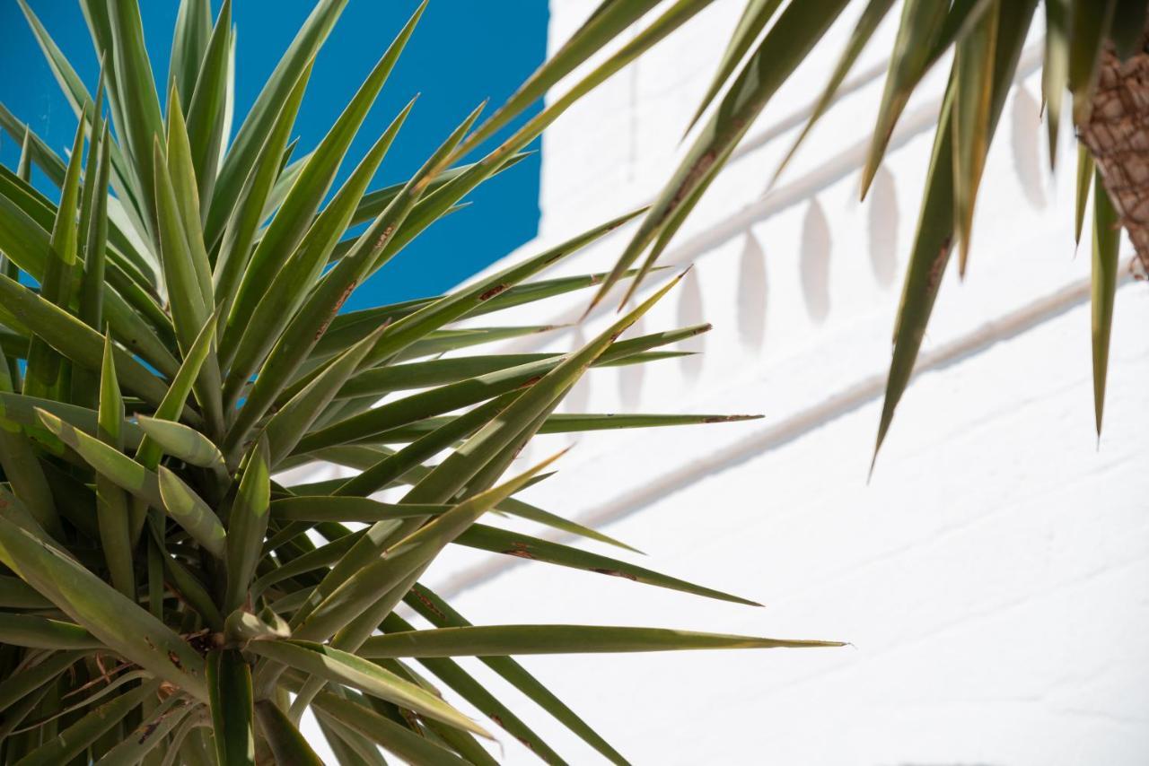 Masseria Donna Nina Ostuni Ngoại thất bức ảnh